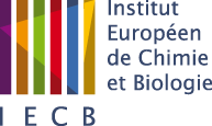 Institut Européen de Chimie et Biologie